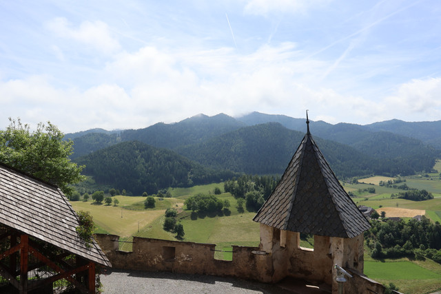 IMG-2294