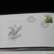 IMG-2605