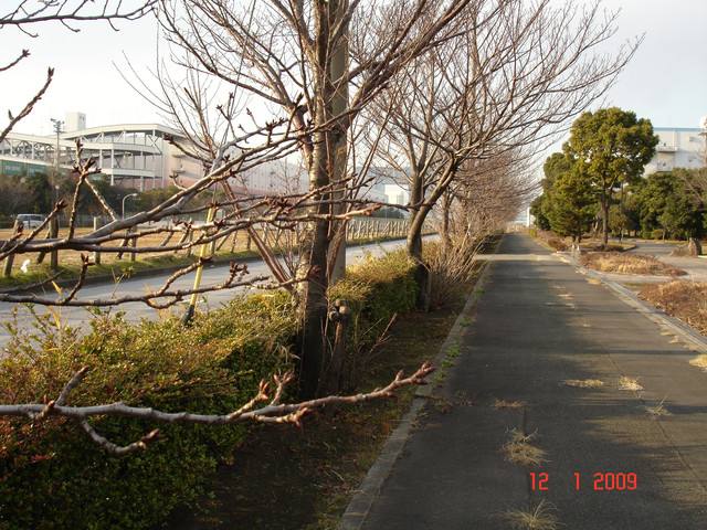 2009-01-12-15