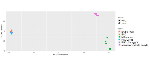 PCA