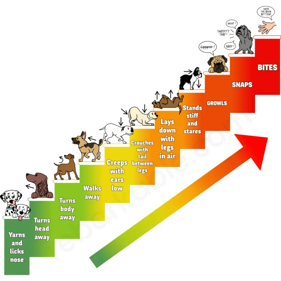 Puppy Growls: Understanding Playful vs. Aggressive Behavior