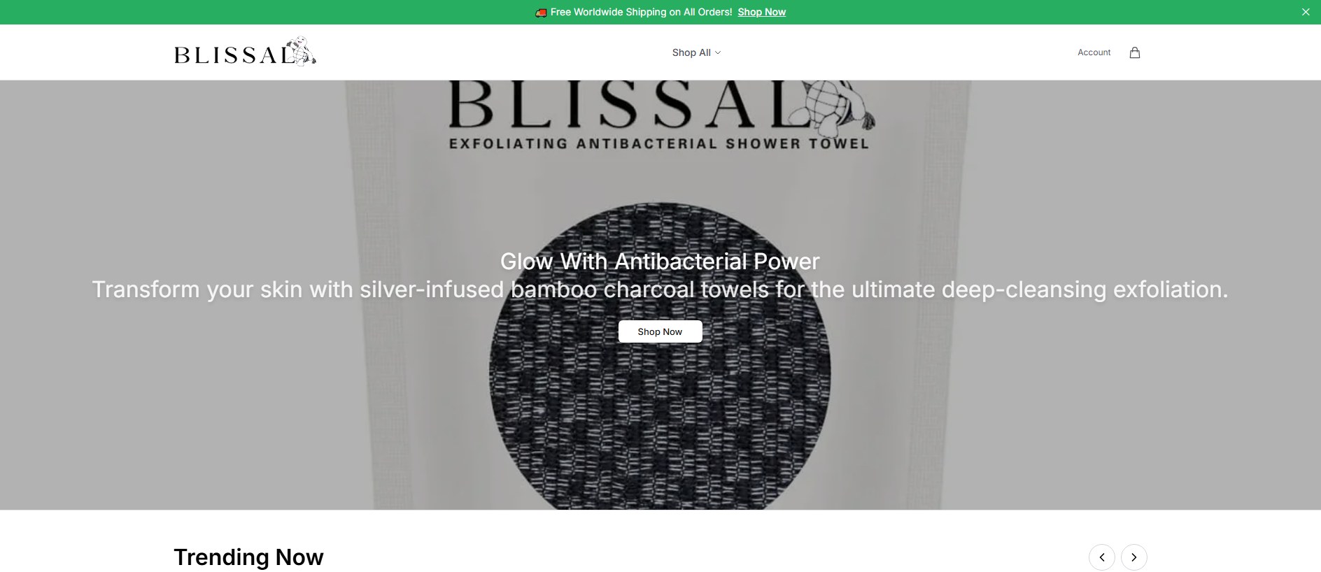 Primary capture · blissalshop.shop