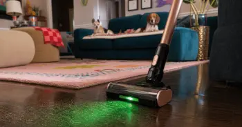The Challenge of Pet Hair: Finding the Right Cordless Vacuum