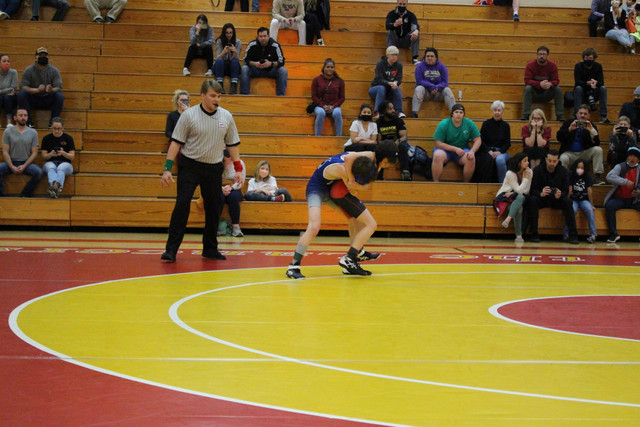 IMG-0240