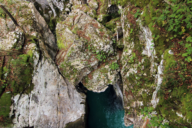 IMG-0256