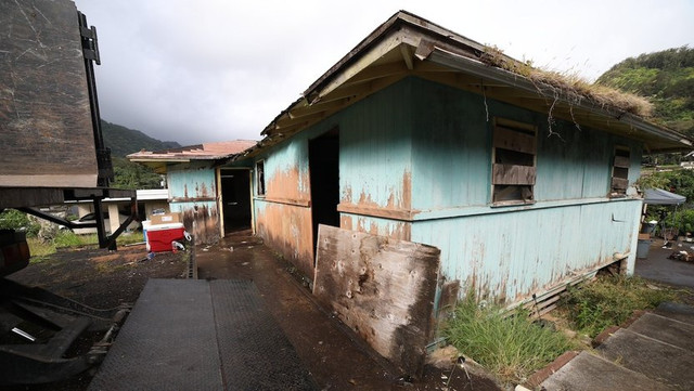Renovation-Aloha