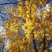 100c0100214m