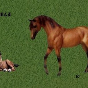 Azteca-Horse-Set