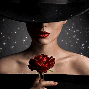 2.gif