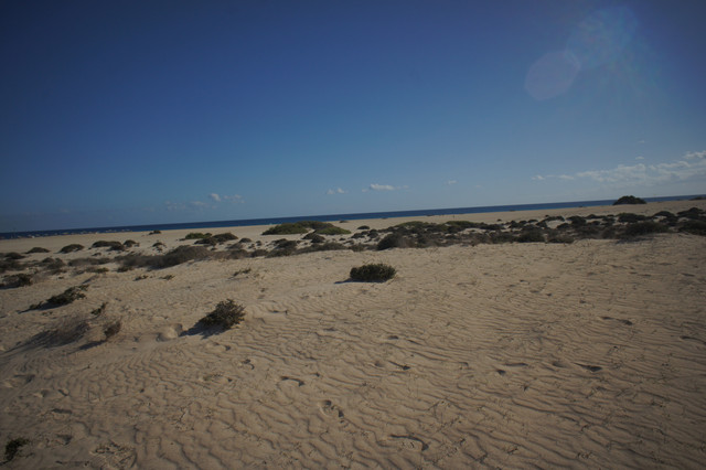 DSC01168