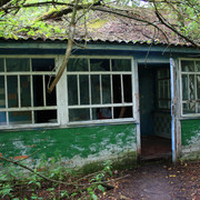 IMG-5896