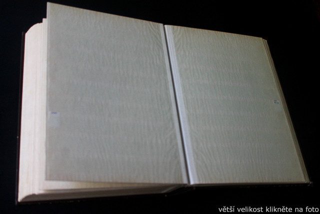 IMG-6942.jpg