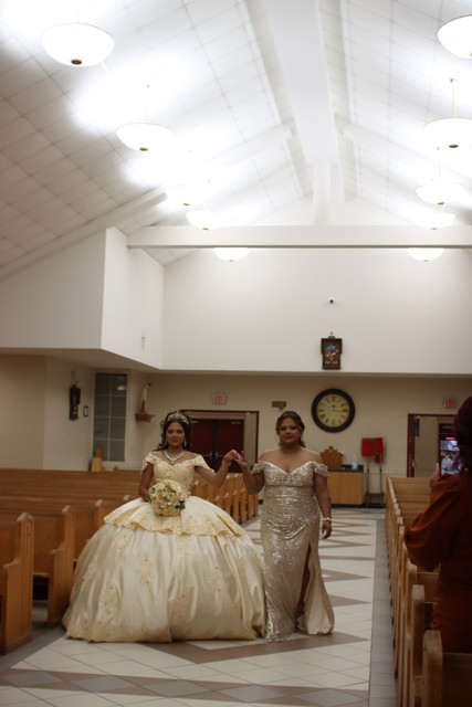 IMG-8151