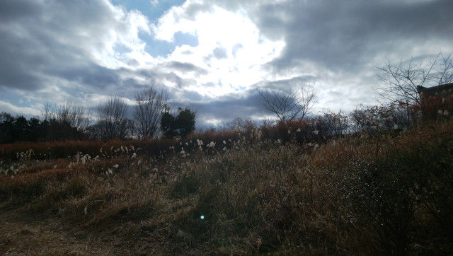 IMG-20230102-132014