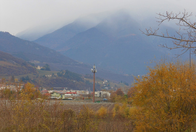 DSCN8478-2