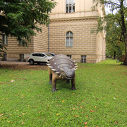 IMG-0013