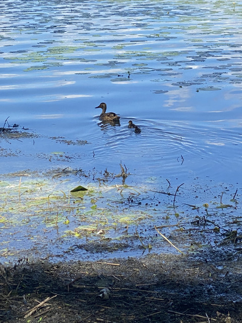 60-CA248-C-0576-4942-AA5-E-15121-BF1-E61