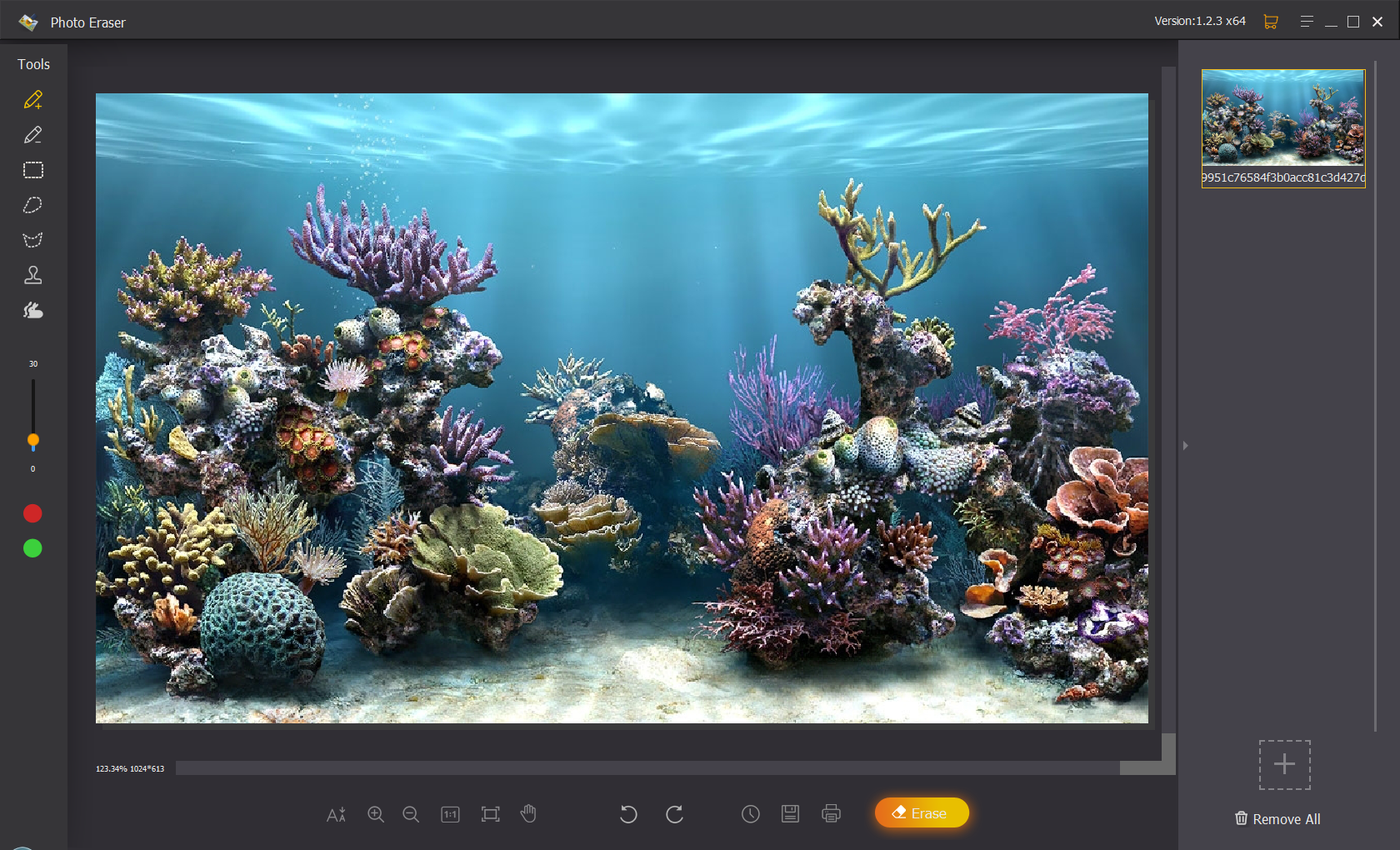 Programy :: Jihosoft Photo Eraser 1.2.3 - 64bit [ENG] [Crack UZ1 ...