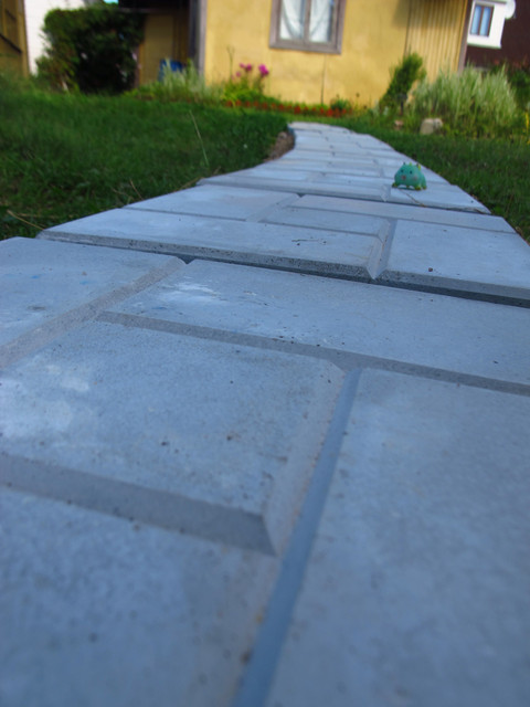 IMG 0026.jpg