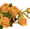 0-827d7-33f6181d-L