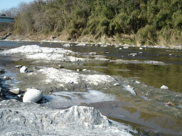 2012-01-09-044