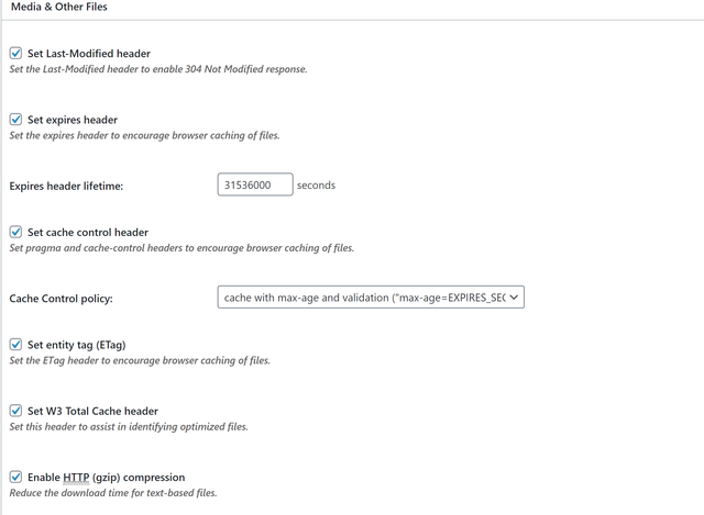 browser-cache-setting