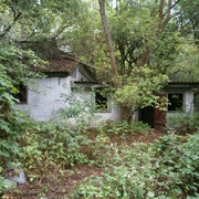OLYMPUS-DIGITAL-CAMERA