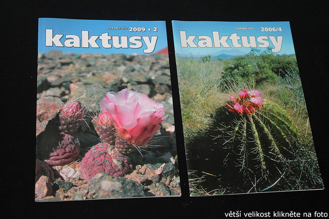IMG-3268