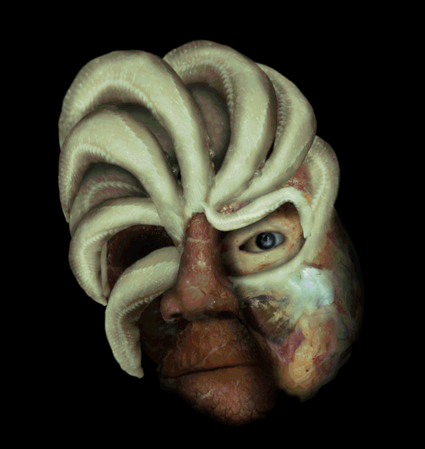 gif-camera-raw-test