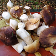 DSC00270