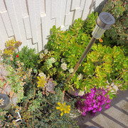 IMG-7563