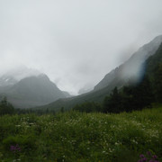 DSCN5340