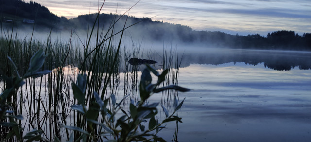 Landscape-02-raw.jpg