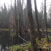 IMG-4483