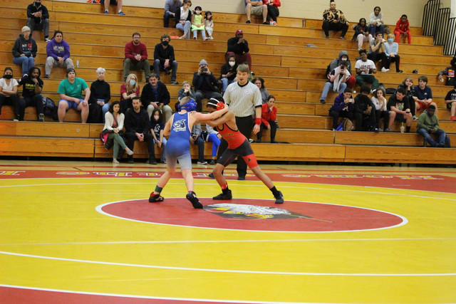 IMG-0117