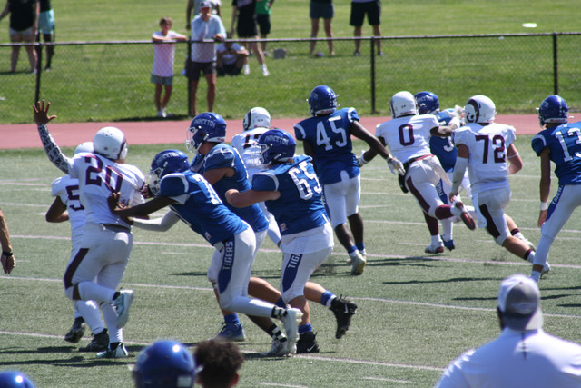 IMG-5715.jpg
