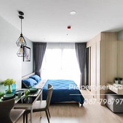 IMG 71890