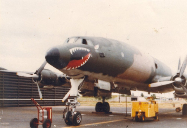 EC121-Rshark.jpg