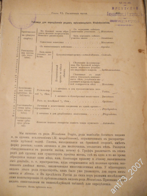 91440311 1.jpg