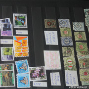IMG-3649