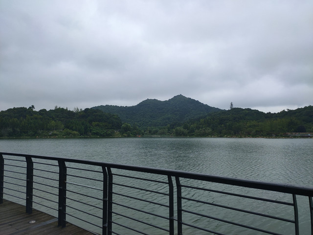 IMG20200708131121.jpg