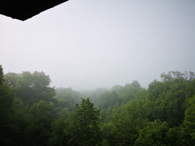 IMG-20230627-080746