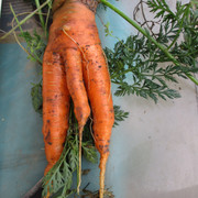 IMG-7871