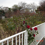 2008-12-13-080