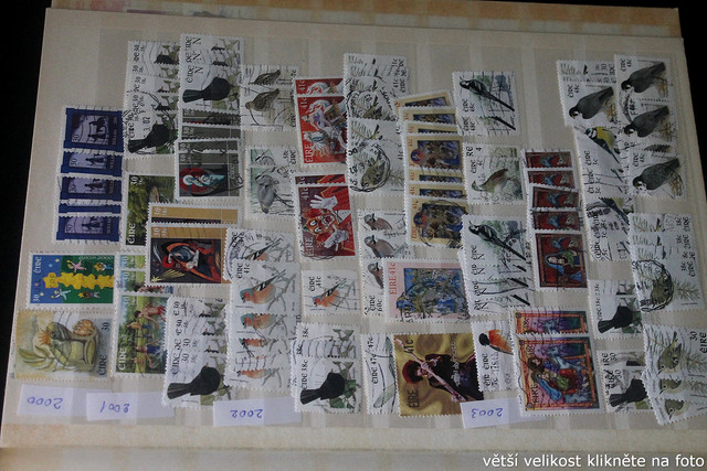 IMG-3720