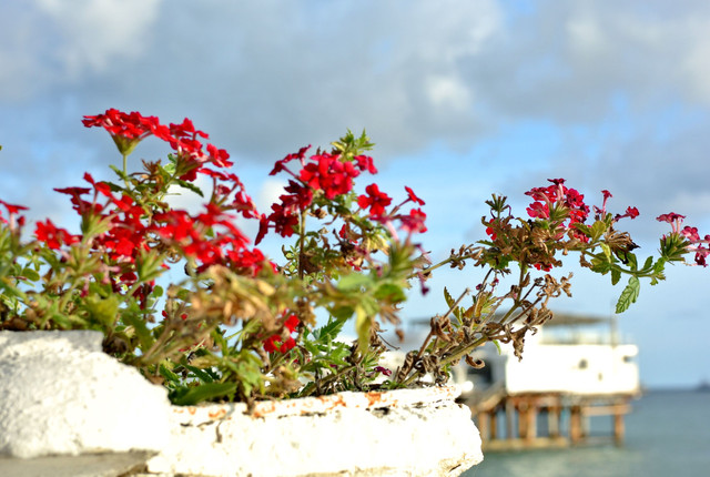 DSC-6819.jpg