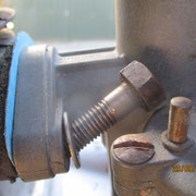 IMG-8481