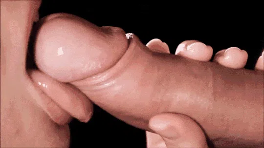 22349151