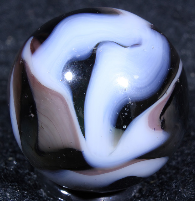 IMG-4005-Sharpen-AI-Focus