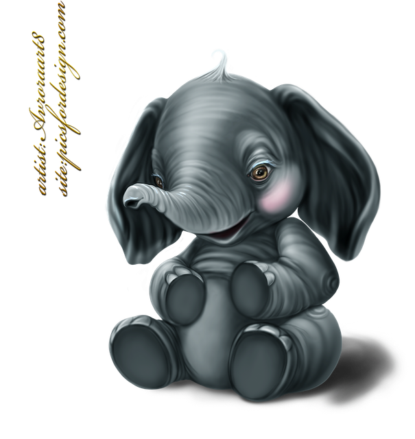 Elephant-2-11